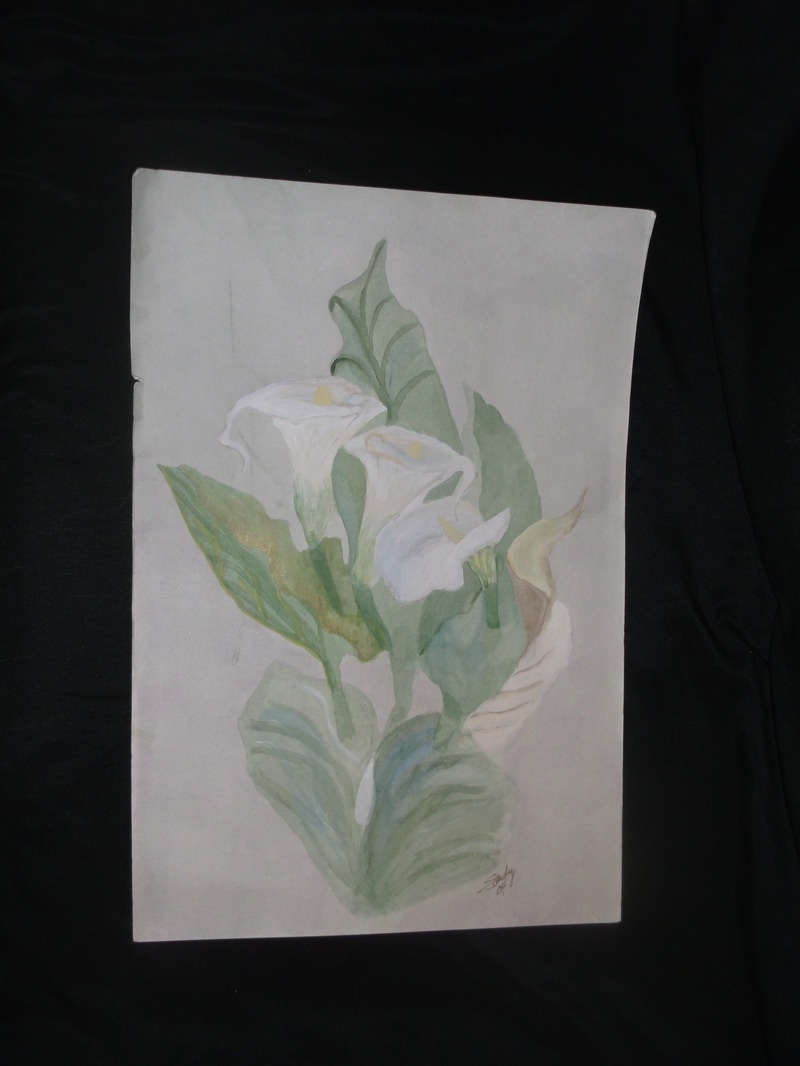 Picture