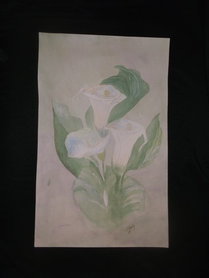 Picture
